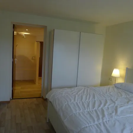 De Kleine Wijngaard Apartment Roggel